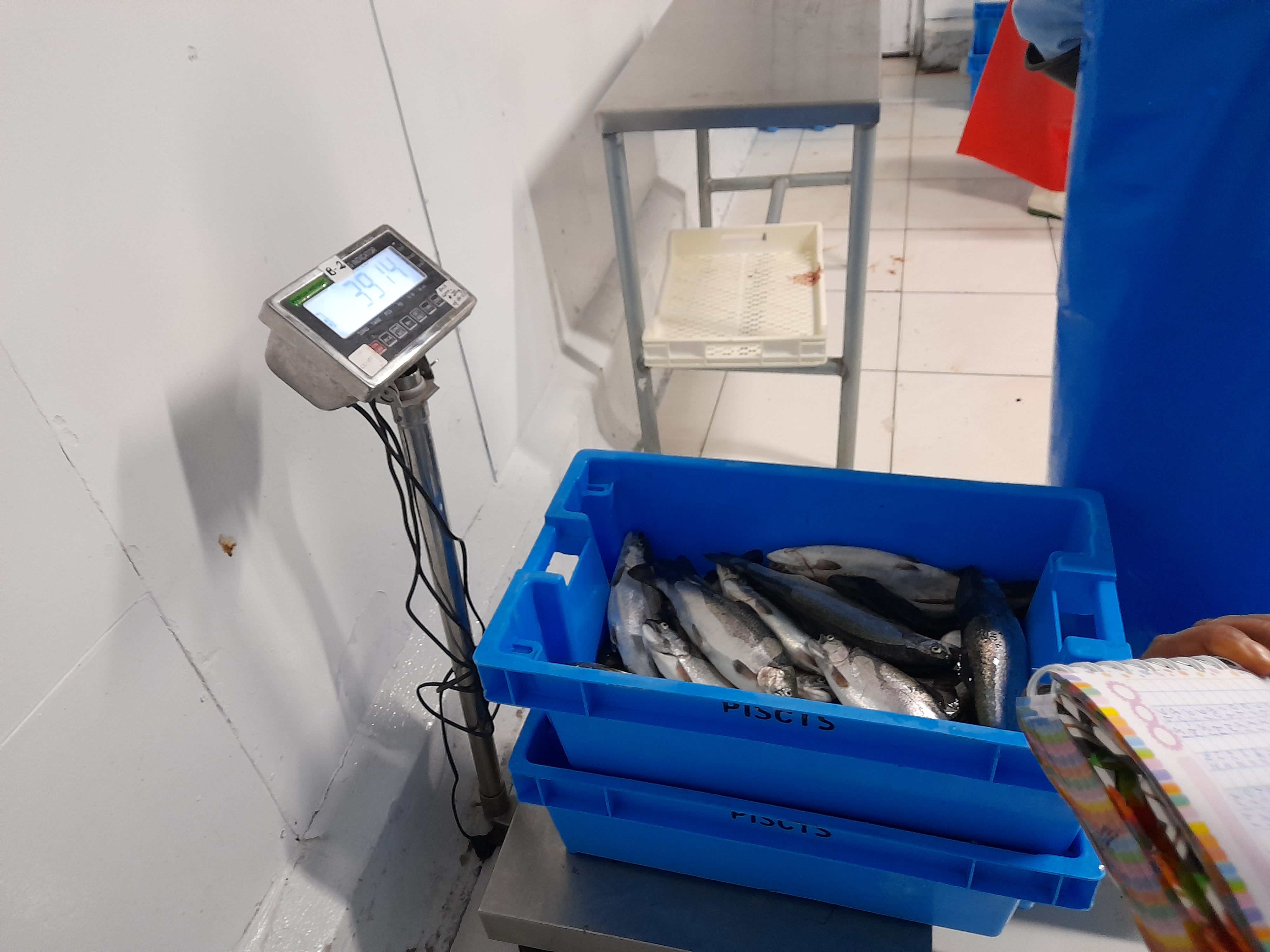 Instalaciones 3